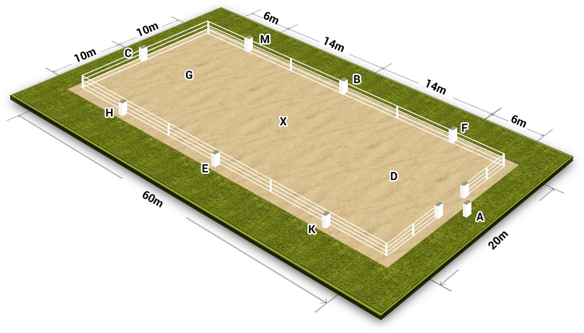 Dressage Arena Layout